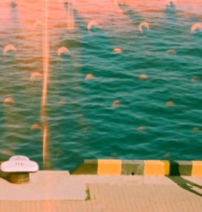 Man walks along a sunny waterfront with teal water.